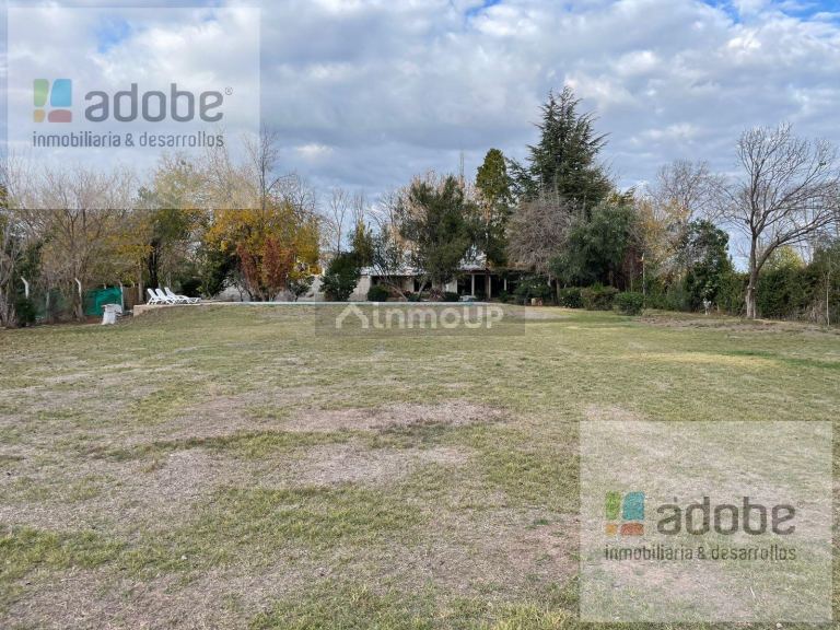 Finca en Venta en Lujan de Cuyo, Mendoza