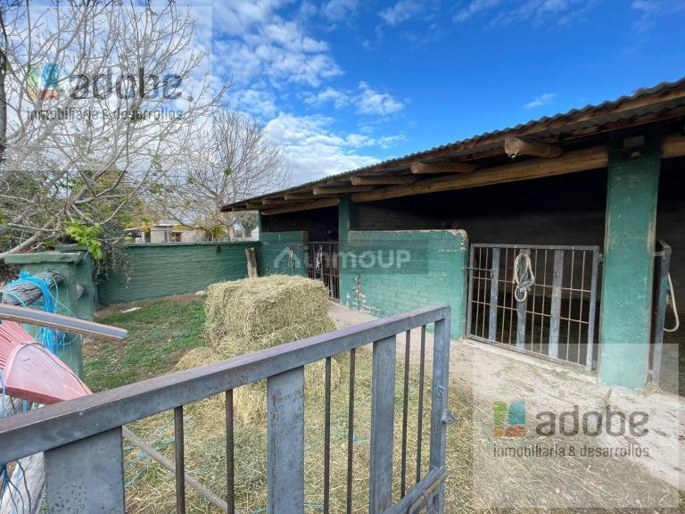 Finca en Venta en Lujan de Cuyo, Mendoza
