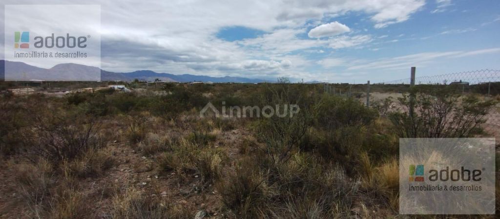 Terreno en Venta en Lujan de Cuyo, Mendoza