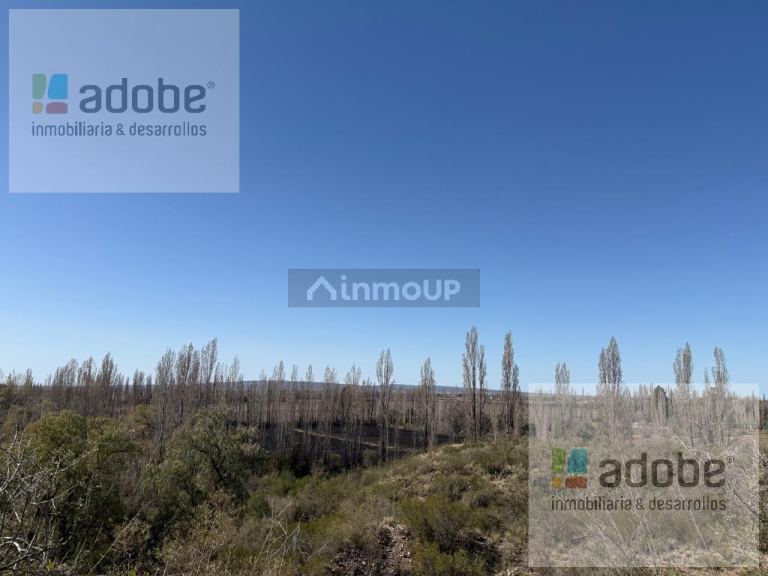 Terreno en Venta en Lujan de Cuyo, Mendoza - USD 120.000 | Inmoup - 6