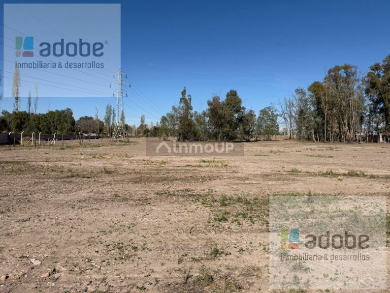 Terreno en Venta en Lujan de Cuyo, Mendoza