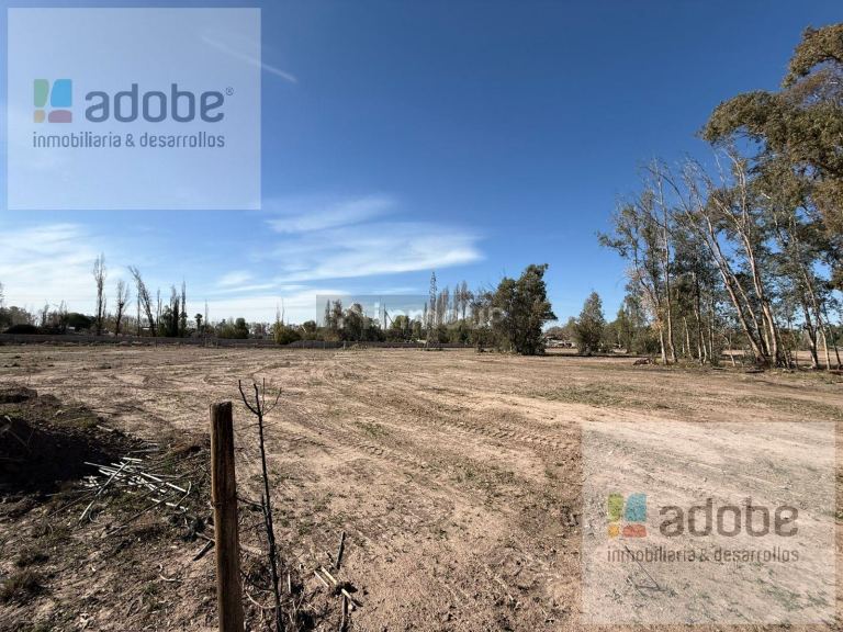 Terreno en Venta en Lujan de Cuyo, Mendoza