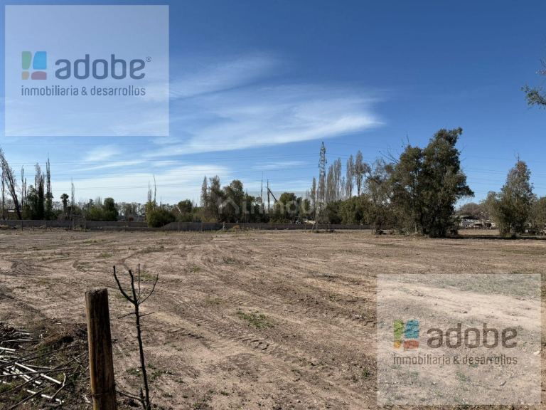 Terreno en Venta en Lujan de Cuyo, Mendoza