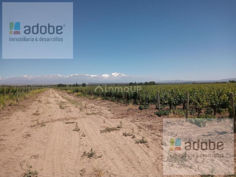 Finca en Venta en Tupungato, Mendoza