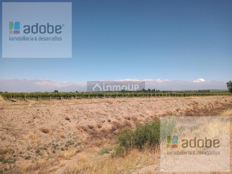 Finca en Venta en Tupungato, Mendoza