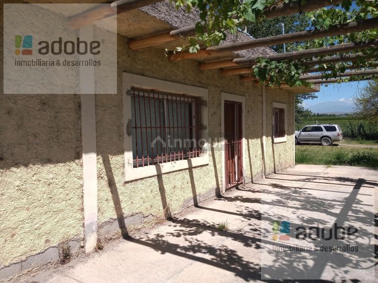 Finca en Venta en Tupungato, Mendoza
