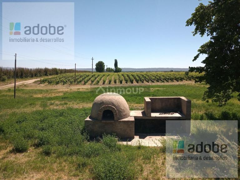 Finca en Venta en Tupungato, Mendoza