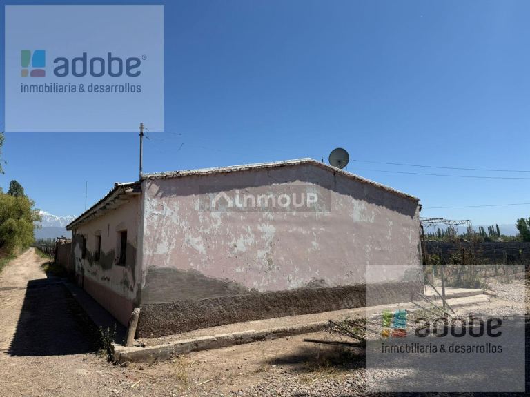 Finca en Venta en Lujan de Cuyo, Mendoza