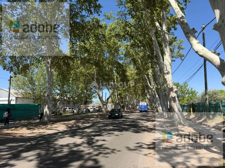 Finca en Venta en Lujan de Cuyo, Mendoza
