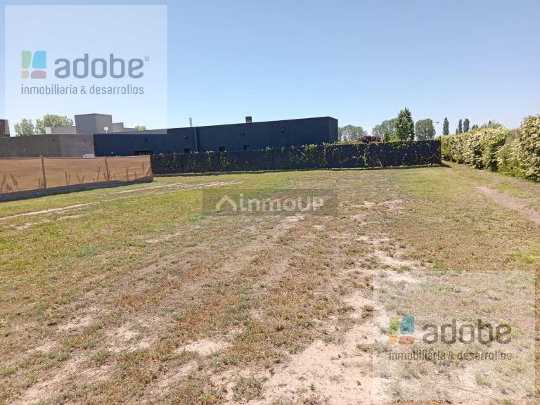 Terreno en Venta en Lujan de Cuyo, Mendoza