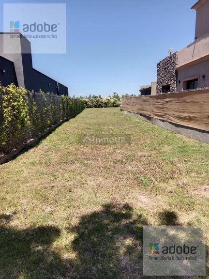 Terreno en Venta en Lujan de Cuyo, Mendoza
