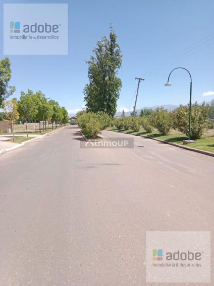 Terreno en Venta en Lujan de Cuyo, Mendoza