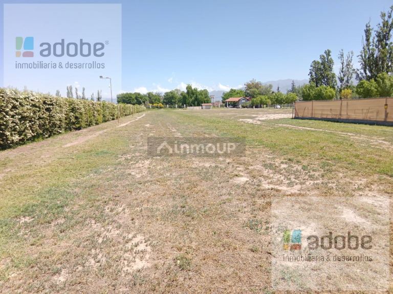 Terreno en Venta en Lujan de Cuyo, Mendoza