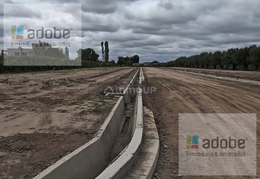 Terreno en Venta en Lujan de Cuyo, Mendoza