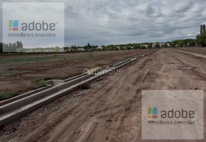 Terreno en Venta en Lujan de Cuyo, Mendoza