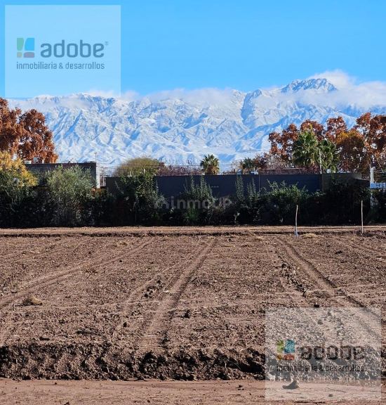 Terreno en Venta en Lujan de Cuyo, Mendoza