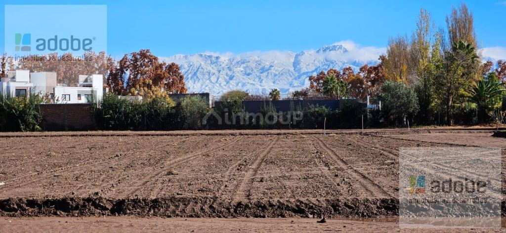 Terreno en Venta en Lujan de Cuyo, Mendoza