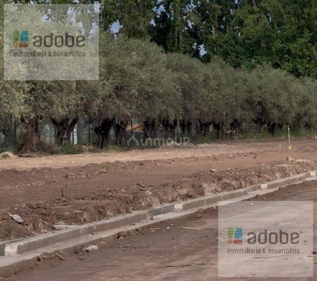 Terreno en Venta en Lujan de Cuyo, Mendoza