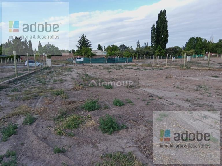 Terreno en Venta en Lujan de Cuyo, Mendoza