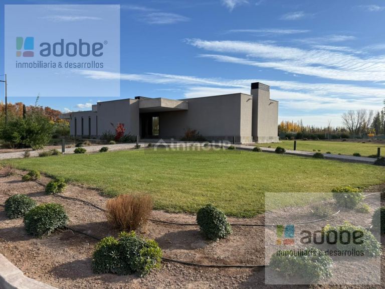 Terreno en Venta en Lujan de Cuyo, Mendoza
