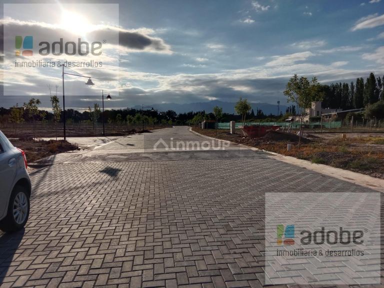 Terreno en Venta en Lujan de Cuyo, Mendoza