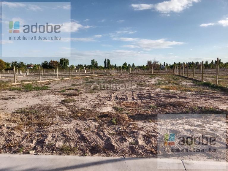 Terreno en Venta en Lujan de Cuyo, Mendoza