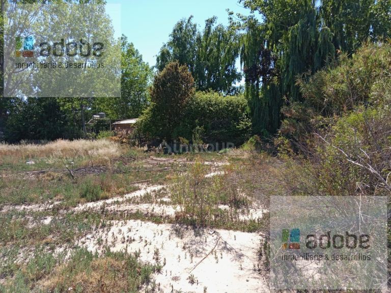 Terreno en Venta en Lujan de Cuyo, Mendoza