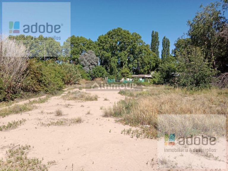 Terreno en Venta en Lujan de Cuyo, Mendoza