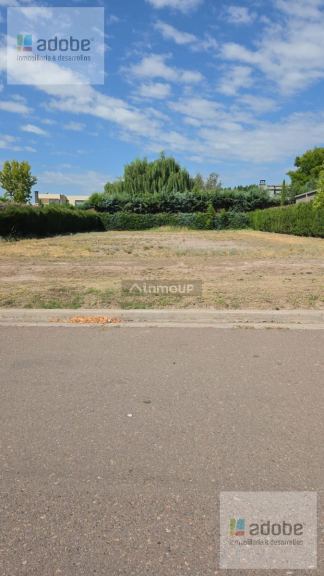 Terreno en Venta en Lujan de Cuyo, Mendoza