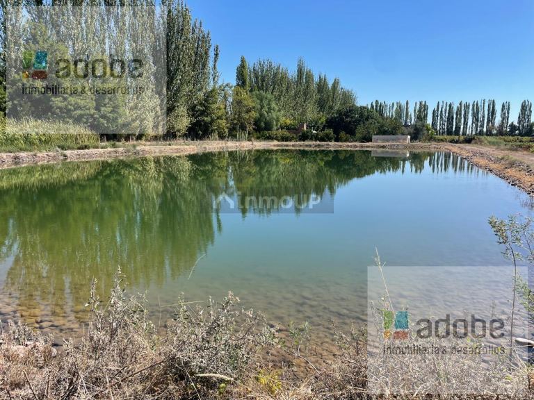 Finca en Venta en Lujan de Cuyo, Mendoza - USD 1.280.000 | Inmoup - 7