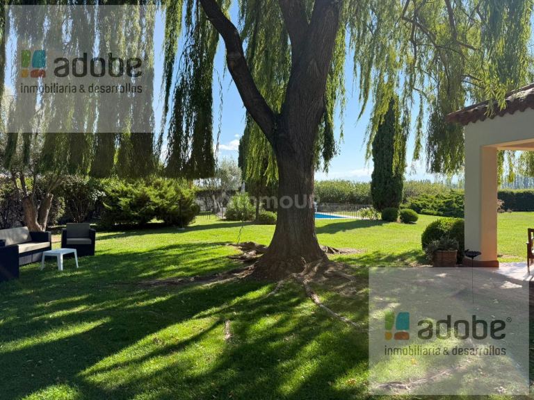 Finca en Venta en Lujan de Cuyo, Mendoza - USD 1.280.000 | Inmoup - 26