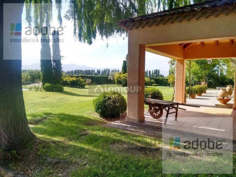 Finca en Venta en Lujan de Cuyo, Mendoza - USD 1.280.000 | Inmoup - 16