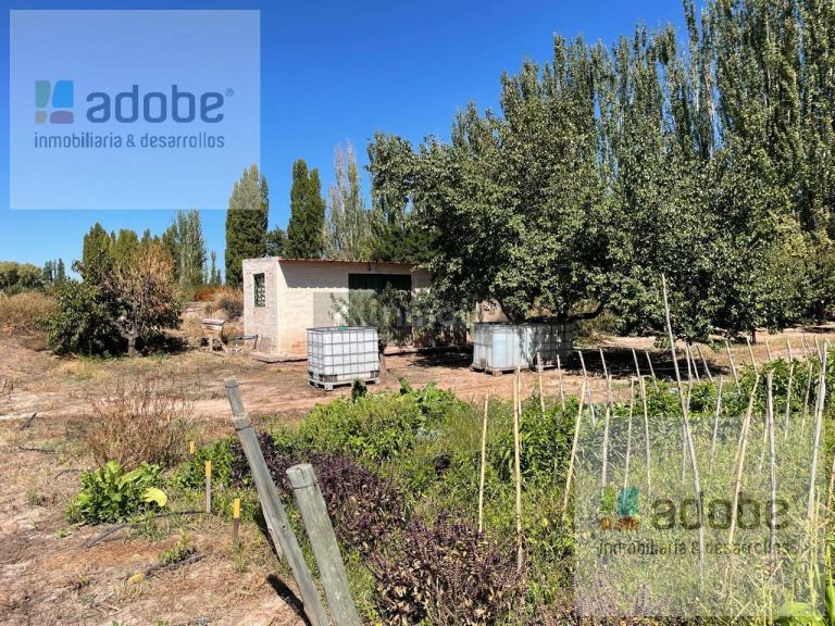 Finca en Venta en Lujan de Cuyo, Mendoza - USD 1.280.000 | Inmoup - 11
