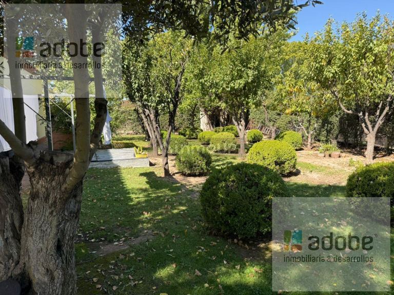 Finca en Venta en Lujan de Cuyo, Mendoza - USD 1.280.000 | Inmoup - 25