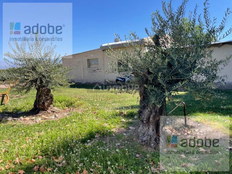 Finca en Venta en Lujan de Cuyo, Mendoza - USD 1.280.000 | Inmoup - 6