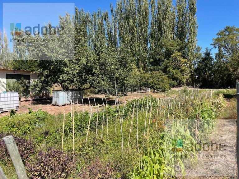 Finca en Venta en Lujan de Cuyo, Mendoza - USD 1.280.000 | Inmoup - 12