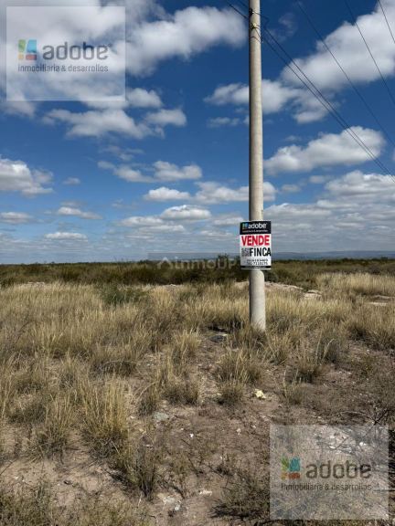 Finca en Venta en Lujan de Cuyo, Mendoza