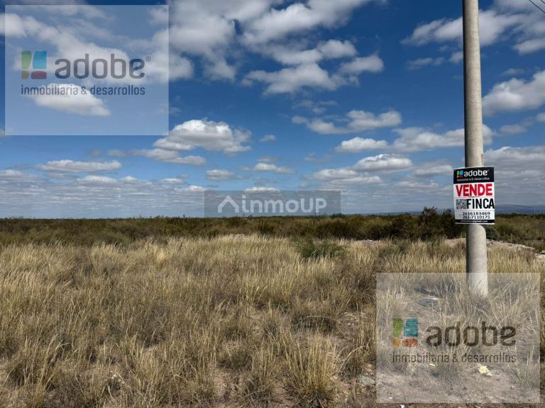 Finca en Venta en Lujan de Cuyo, Mendoza