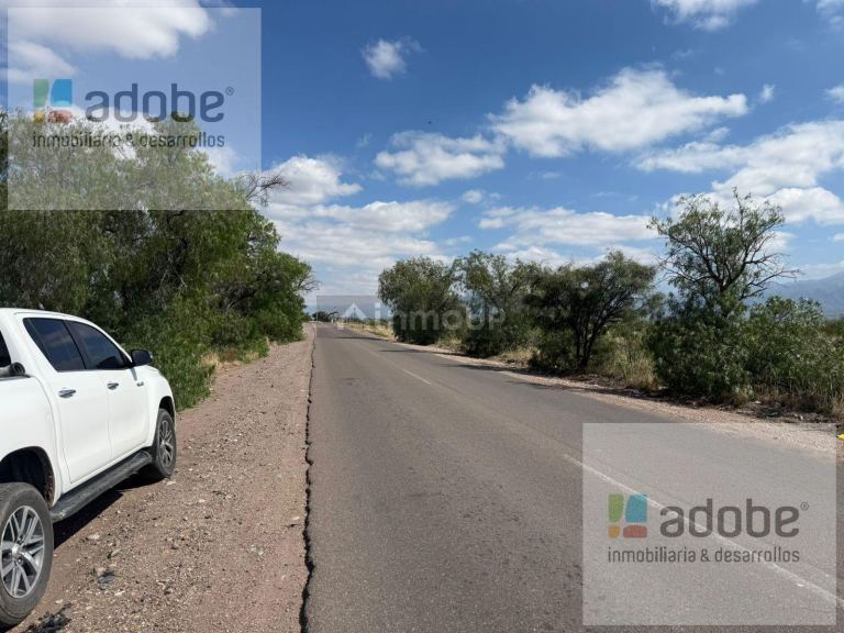 Finca en Venta en Lujan de Cuyo, Mendoza