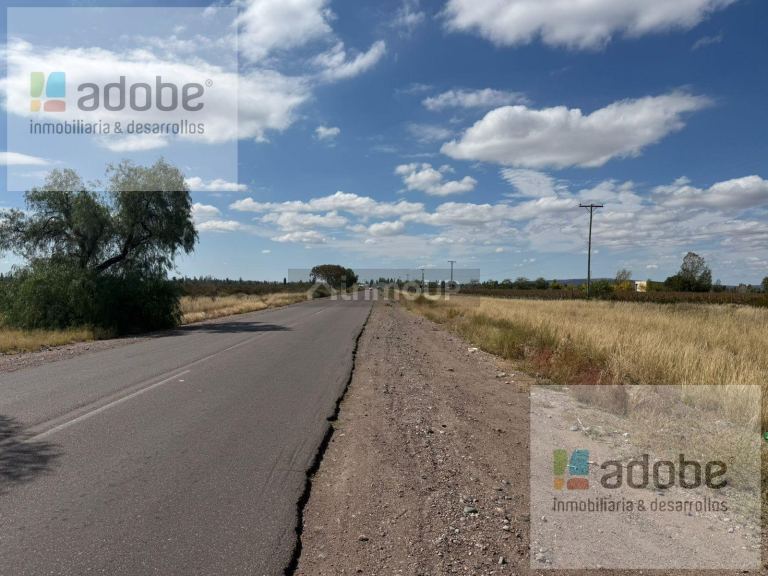 Finca en Venta en Lujan de Cuyo, Mendoza