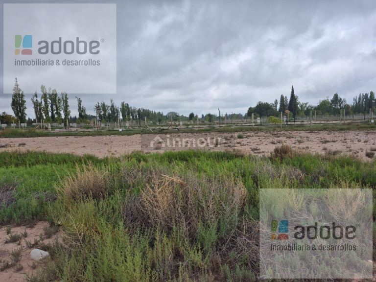 Terreno en Venta en Lujan de Cuyo, Mendoza