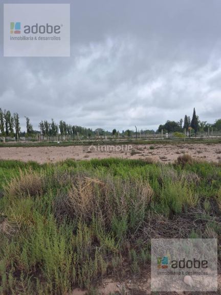 Terreno en Venta en Lujan de Cuyo, Mendoza