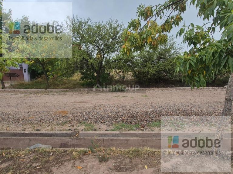 Terreno en Venta en Lujan de Cuyo, Mendoza