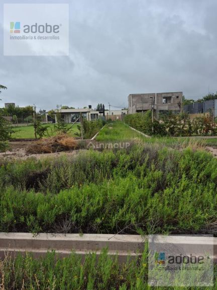 Terreno en Venta en Lujan de Cuyo, Mendoza
