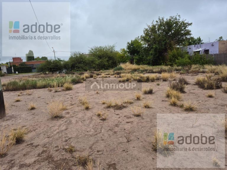 Terreno en Venta en Lujan de Cuyo, Mendoza