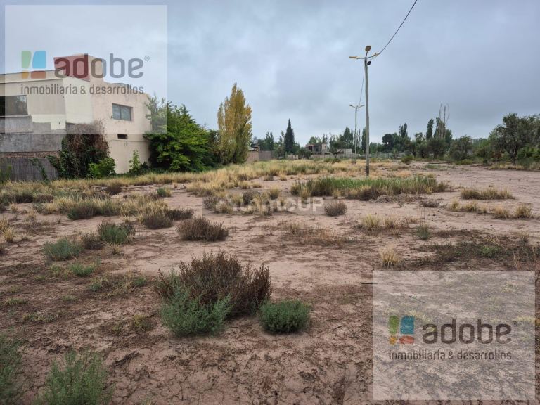 Terreno en Venta en Lujan de Cuyo, Mendoza