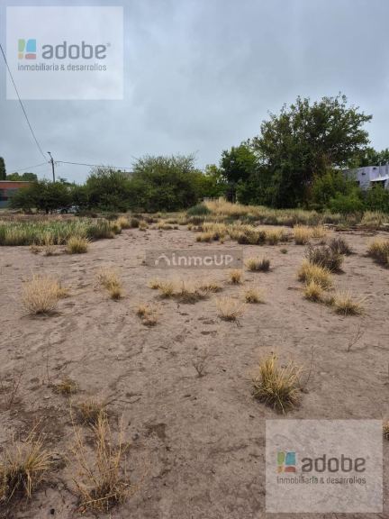 Terreno en Venta en Lujan de Cuyo, Mendoza