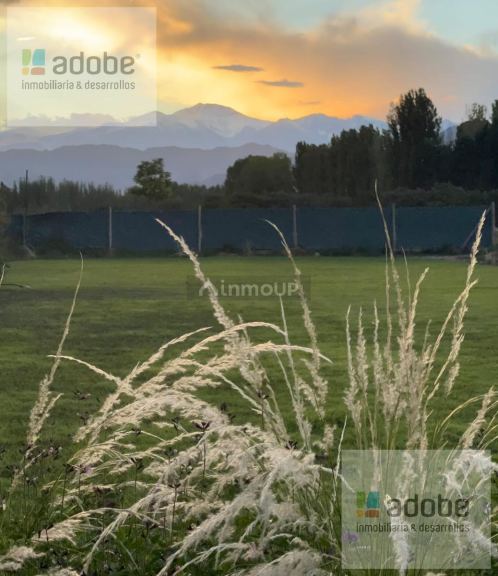 Casa en Venta en Lujan de Cuyo, Mendoza