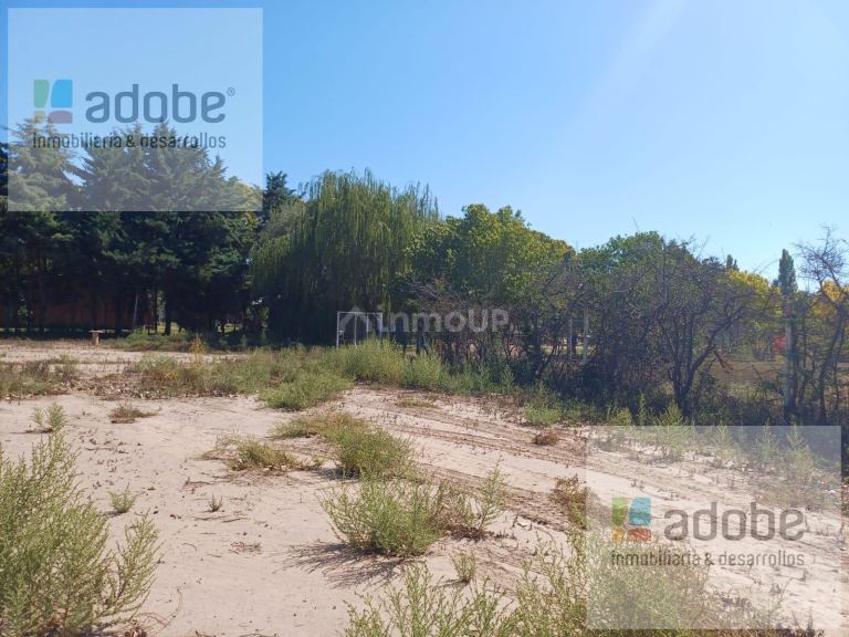 Terreno en Venta en Lujan de Cuyo, Mendoza