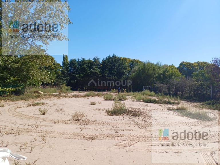 Terreno en Venta en Lujan de Cuyo, Mendoza